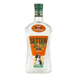 Setter Royal Orange